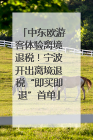 中东欧游客体验离境退税！宁波开出离境退税“即买即退”首单