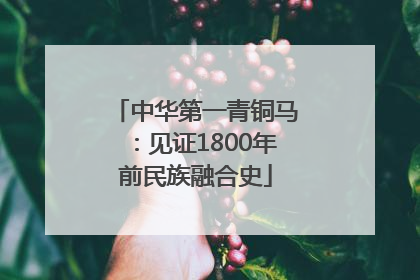 中华第一青铜马：见证1800年前民族融合史