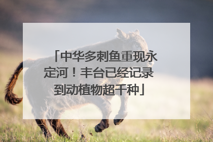中华多刺鱼重现永定河！丰台已经记录到动植物超千种
