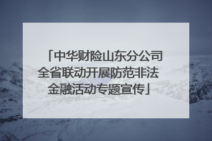 中华财险山东分公司全省联动开展防范非法金融活动专题宣传