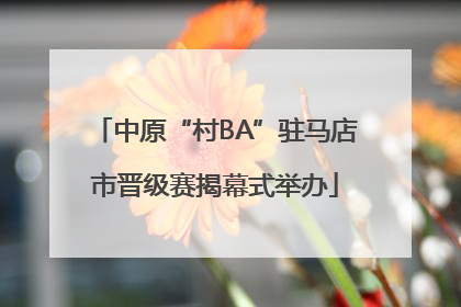 中原“村BA”驻马店市晋级赛揭幕式举办