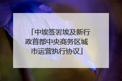 中埃签署埃及新行政首都中央商务区城市运营执行协议