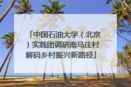 中国石油大学（北京）实践团调研南马庄村解码乡村振兴新路径
