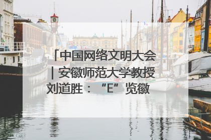 中国网络文明大会｜安徽师范大学教授刘道胜：“E”览徽风，构筑中华民族共有精神家园