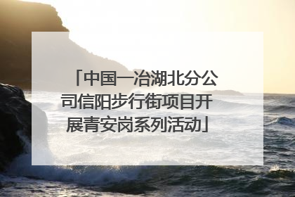 中国一冶湖北分公司信阳步行街项目开展青安岗系列活动