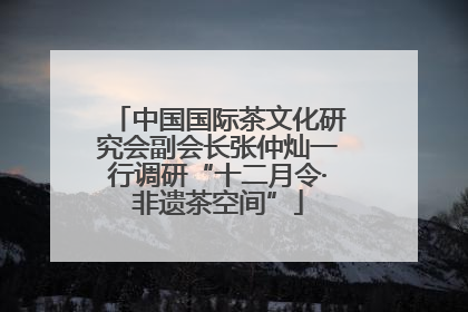 中国国际茶文化研究会副会长张仲灿一行调研“十二月令·非遗茶空间”