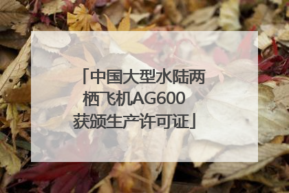 中国大型水陆两栖飞机AG600获颁生产许可证