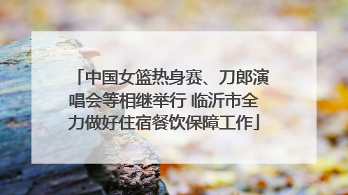 中国女篮热身赛、刀郎演唱会等相继举行 临沂市全力做好住宿餐饮保障工作