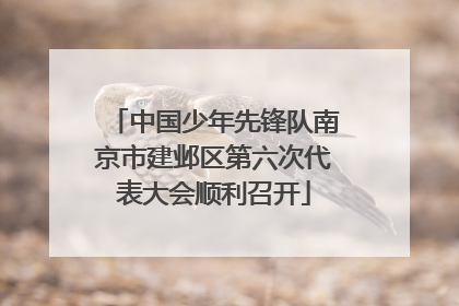 中国少年先锋队南京市建邺区第六次代表大会顺利召开