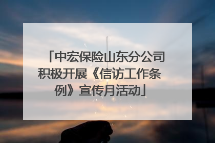 中宏保险山东分公司积极开展《信访工作条例》宣传月活动