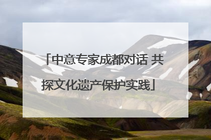 中意专家成都对话 共探文化遗产保护实践