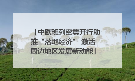中欧班列密集开行助推“落地经济” 激活周边地区发展新动能