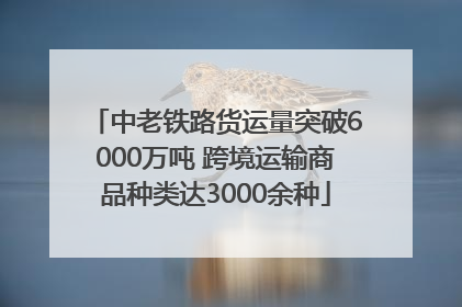 中老铁路货运量突破6000万吨 跨境运输商品种类达3000余种