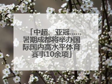 中超、亚冠……暑期成都将举办国际国内高水平体育赛事10余项
