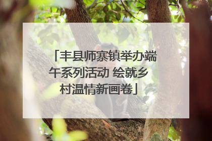 丰县师寨镇举办端午系列活动 绘就乡村温情新画卷