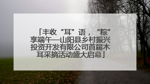 丰收“耳”语，“粽”享端午—山阳县乡村振兴投资开发有限公司首届木耳采摘活动盛大启幕
