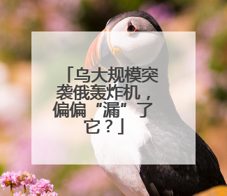 乌大规模突袭俄轰炸机，偏偏“漏”了它？