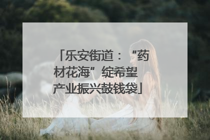 乐安街道：“药材花海”绽希望 产业振兴鼓钱袋