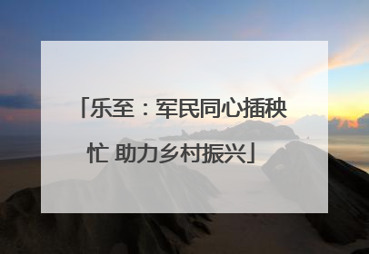 乐至：军民同心插秧忙 助力乡村振兴