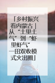乡村振兴看内蒙古｜从“土里土气”到“虾里虾气” 一田双收模式火出圈