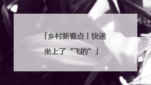 乡村新看点丨快递坐上了“飞的”