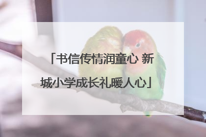书信传情润童心 新城小学成长礼暖人心