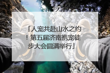 人宠共赴山水之约！第五届济南携宠徒步大会圆满举行