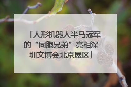 人形机器人半马冠军的“同胞兄弟”亮相深圳文博会北京展区