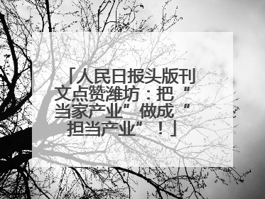人民日报头版刊文点赞潍坊：把“当家产业”做成“担当产业”！