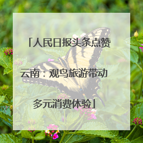 人民日报头条点赞云南：观鸟旅游带动多元消费体验