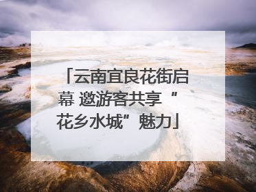 云南宜良花街启幕 邀游客共享“花乡水城”魅力