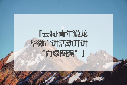 云洞·青年说龙华微宣讲活动开讲“向绿图强”