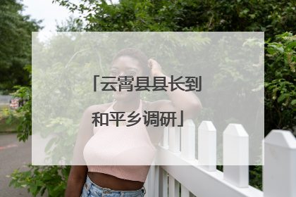 云霄县县长到和平乡调研