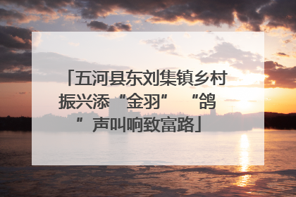 五河县东刘集镇乡村振兴添“金羽” “鸽”声叫响致富路