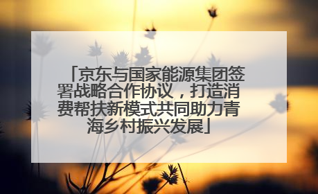 京东与国家能源集团签署战略合作协议，打造消费帮扶新模式共同助力青海乡村振兴发展