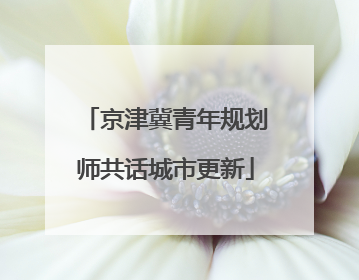 京津冀青年规划师共话城市更新
