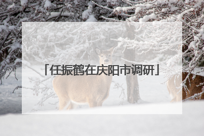 任振鹤在庆阳市调研