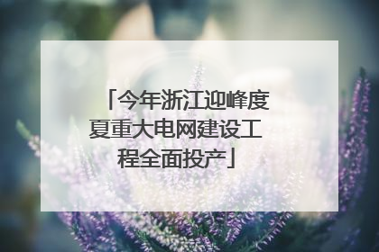 今年浙江迎峰度夏重大电网建设工程全面投产