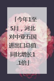 今年1至5月，河北对中亚五国进出口总值同比增长1.1倍