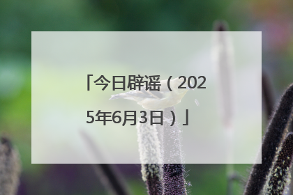 今日辟谣（2025年6月3日）