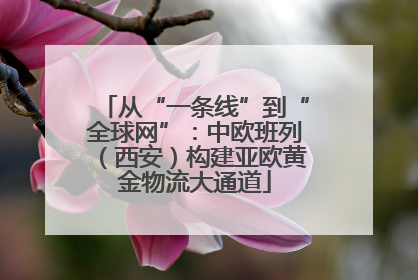 从“一条线”到“全球网”：中欧班列（西安）构建亚欧黄金物流大通道