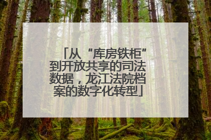 从“库房铁柜”到开放共享的司法数据，龙江法院档案的数字化转型