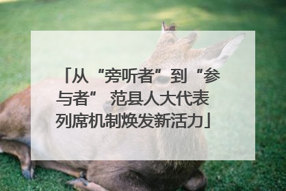 从“旁听者”到“参与者” 范县人大代表列席机制焕发新活力
