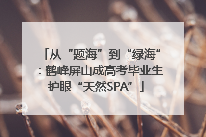 从“题海”到“绿海”：鹤峰屏山成高考毕业生护眼“天然SPA”