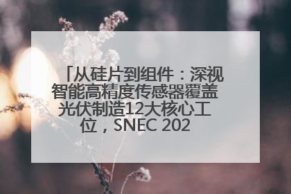 从硅片到组件：深视智能高精度传感器覆盖光伏制造12大核心工位，SNEC 2025诚邀见证