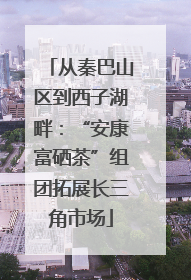 从秦巴山区到西子湖畔：“安康富硒茶”组团拓展长三角市场