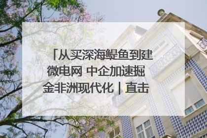 从买深海鳀鱼到建微电网 中企加速掘金非洲现代化｜直击中非经贸博览会