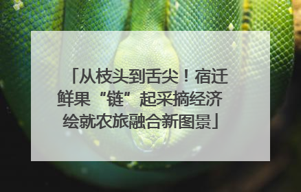 从枝头到舌尖！宿迁鲜果“链”起采摘经济绘就农旅融合新图景