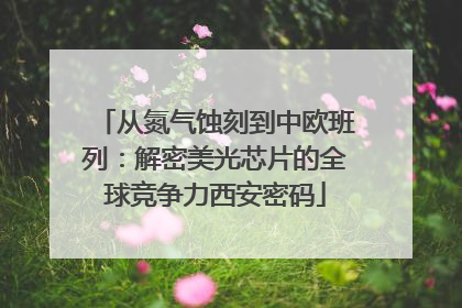 从氮气蚀刻到中欧班列：解密美光芯片的全球竞争力西安密码