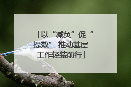 以“减负”促“提效” 推动基层工作轻装前行